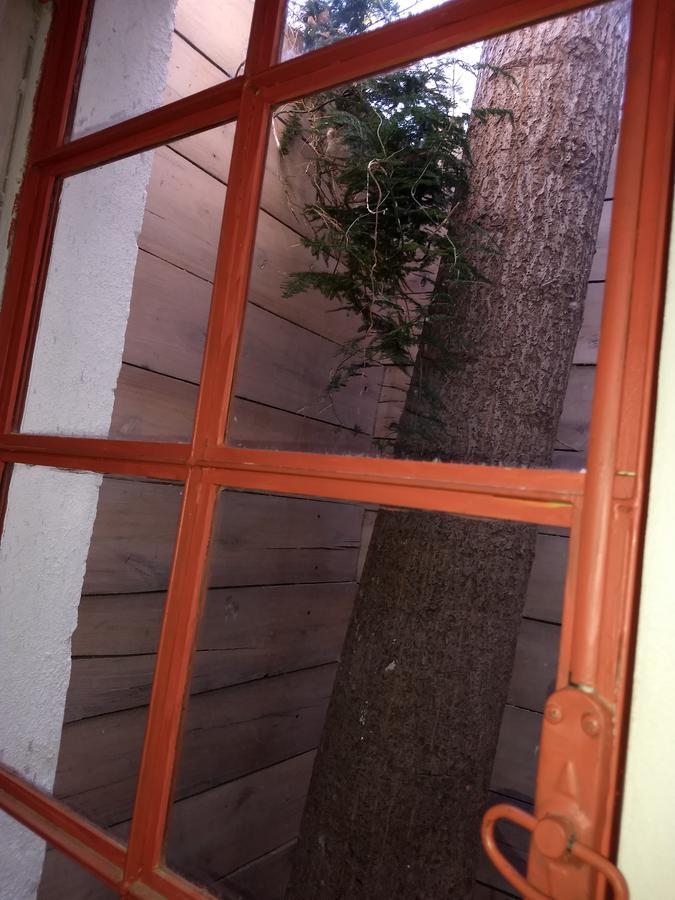 El Tamarisco Apartment ปูแอร์โตปีรามีเดส ภายนอก รูปภาพ